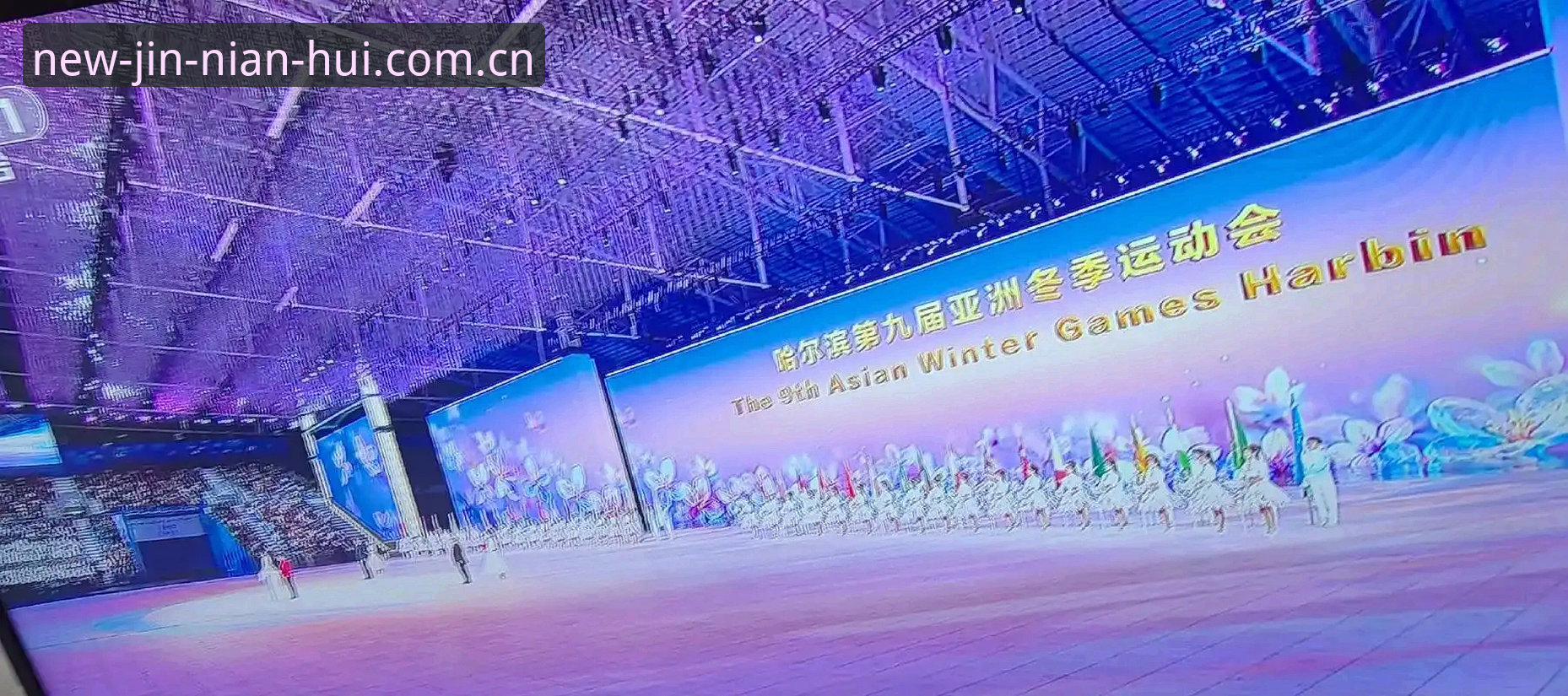JNH今年会2025焕新版上线：揭秘今年会实时赔率变动背后的避坑指南